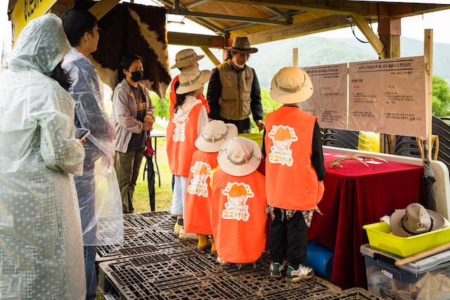 석장리 구석기 체험존 프로그램 이미지